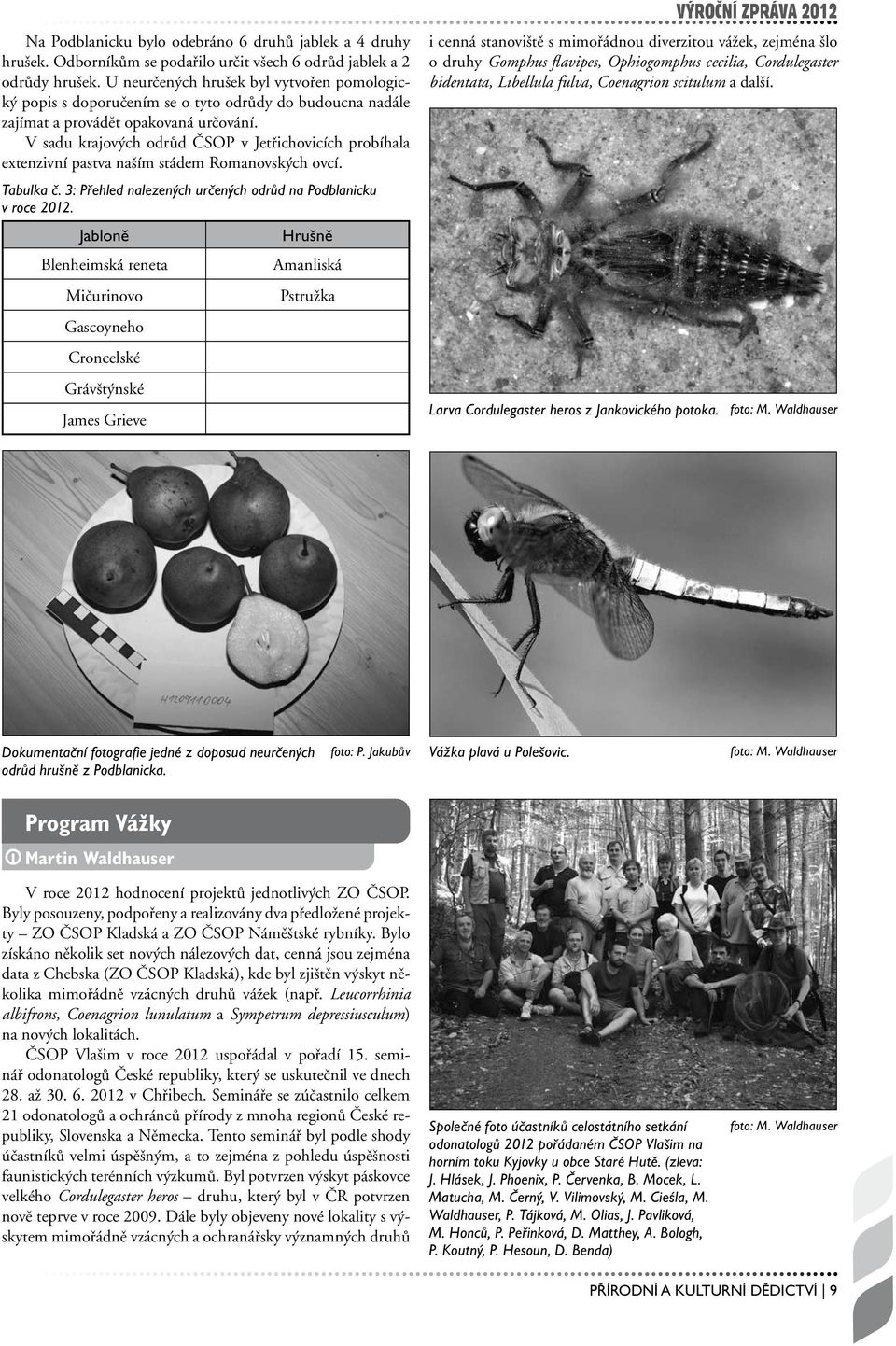 V sadu krajových odrůd ČSOP v Jetřichovicích probíhala extenzivní pastva naším stádem Romanovských ovcí. Tabulka č. 3: Přehled nalezených určených odrůd na Podblanicku v roce 2012.