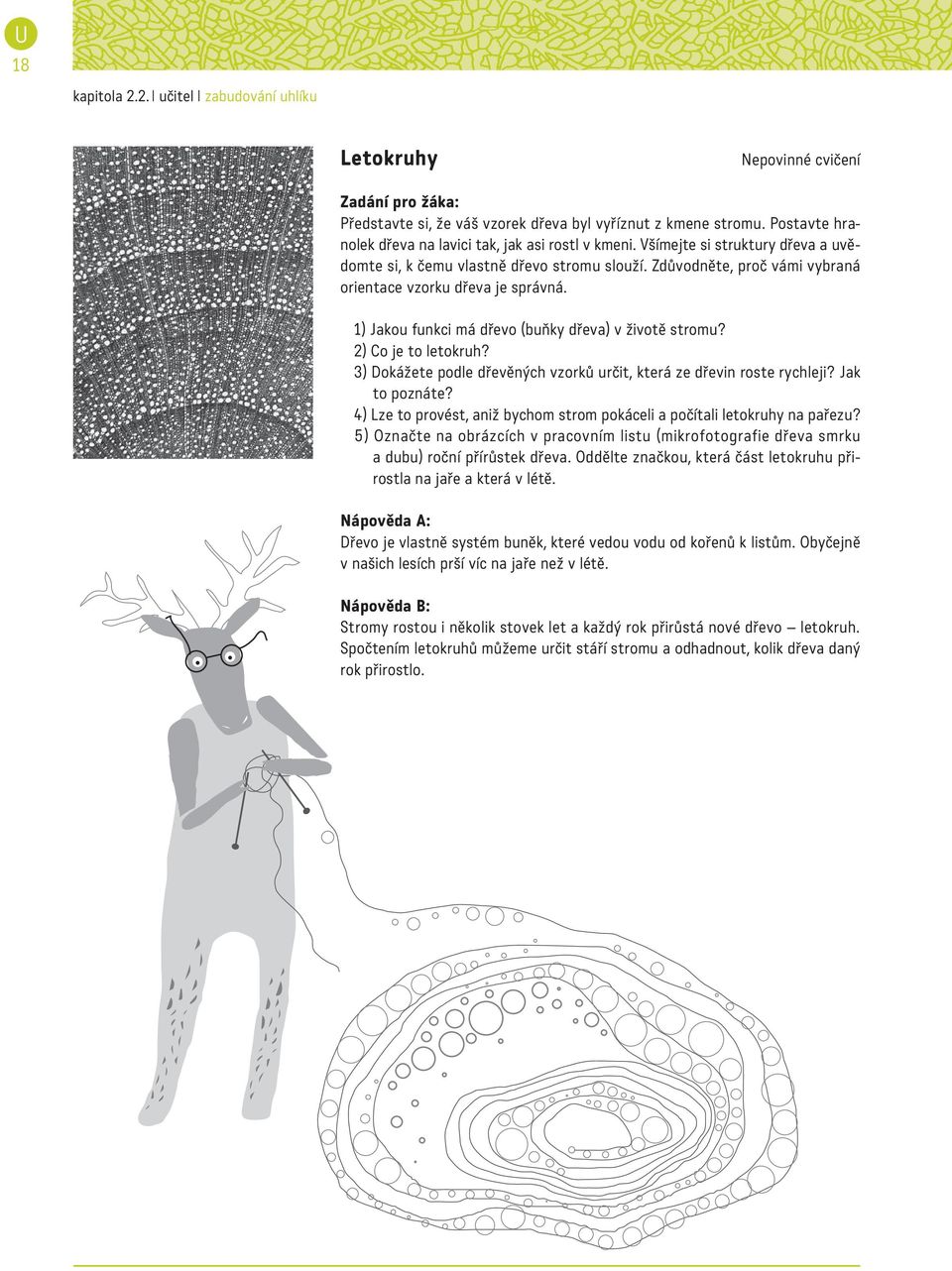 2) Co je to letokruh? 3) Dokážete podle dřevěných vzorků určit, která ze dřevin roste rychleji? Jak to poznáte? 4) Lze to provést, aniž bychom strom pokáceli a počítali letokruhy na pařezu?