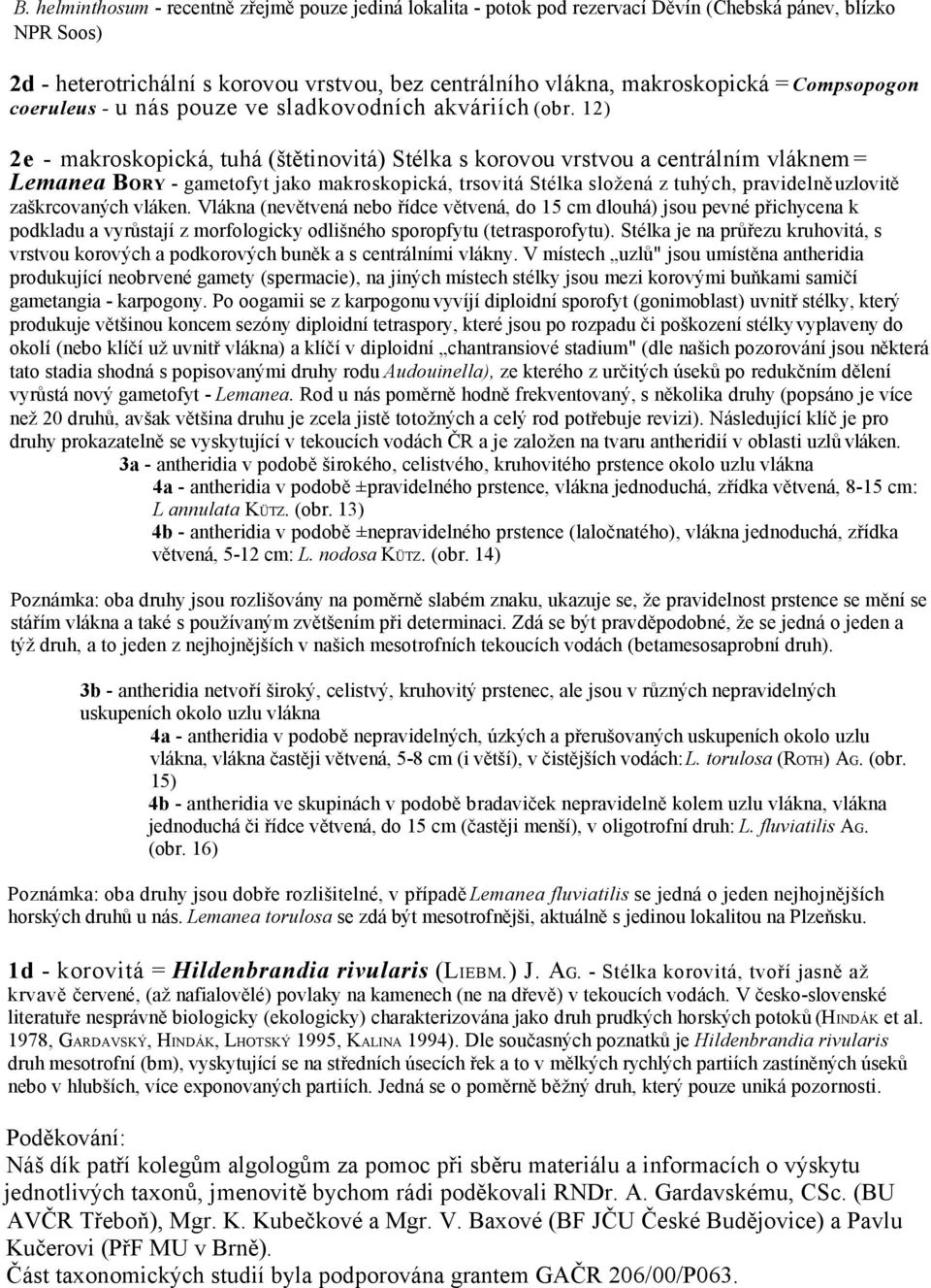 12) 2e - makroskopická, tuhá (štětinovitá) Stélka s korovou vrstvou a centrálním vláknem = Lemanea BORY - gametofyt jako makroskopická, trsovitá Stélka složená z tuhých, pravidelně uzlovitě