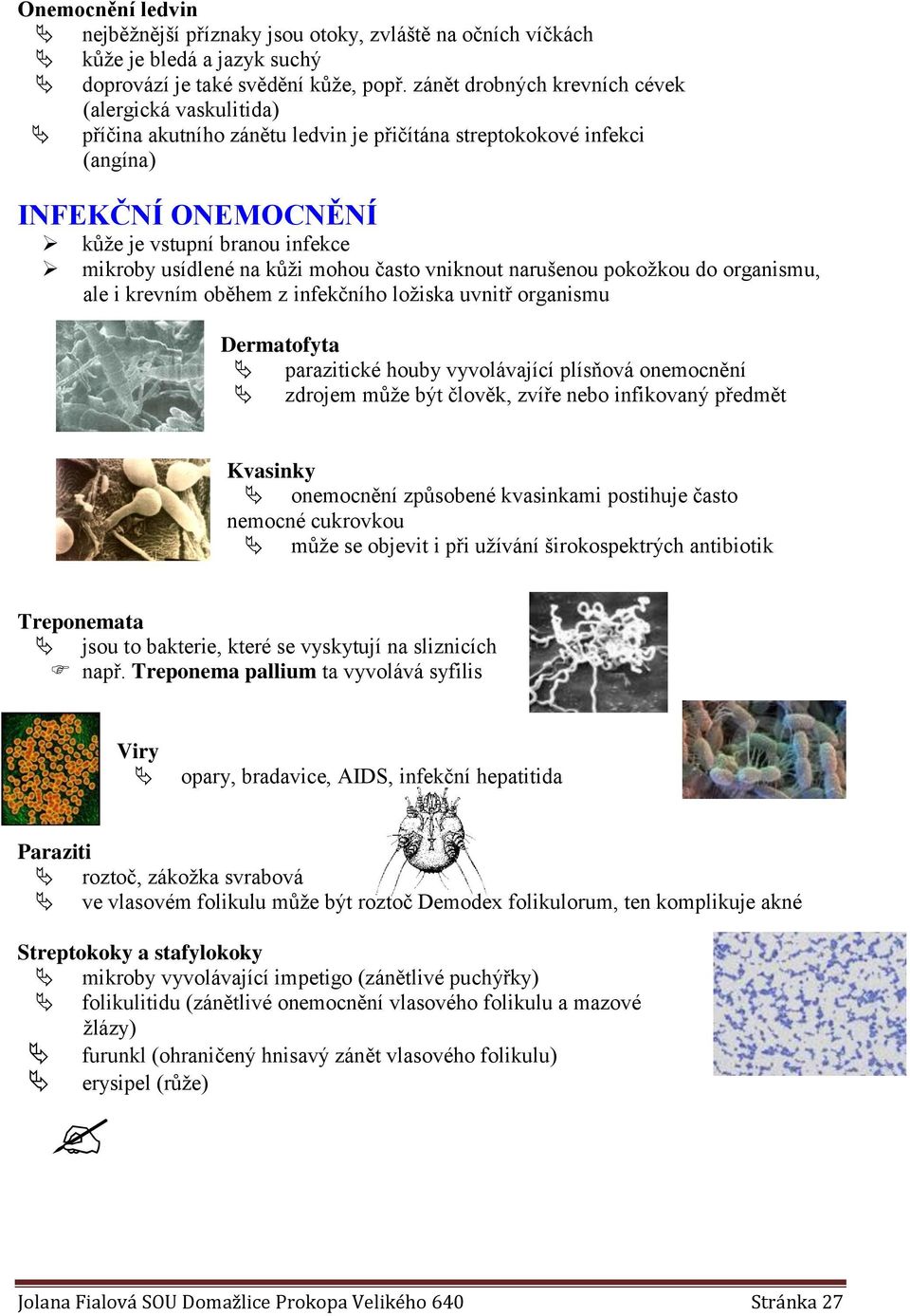 kůži mohou často vniknout narušenou pokožkou do organismu, ale i krevním oběhem z infekčního ložiska uvnitř organismu Dermatofyta parazitické houby vyvolávající plísňová onemocnění zdrojem může být