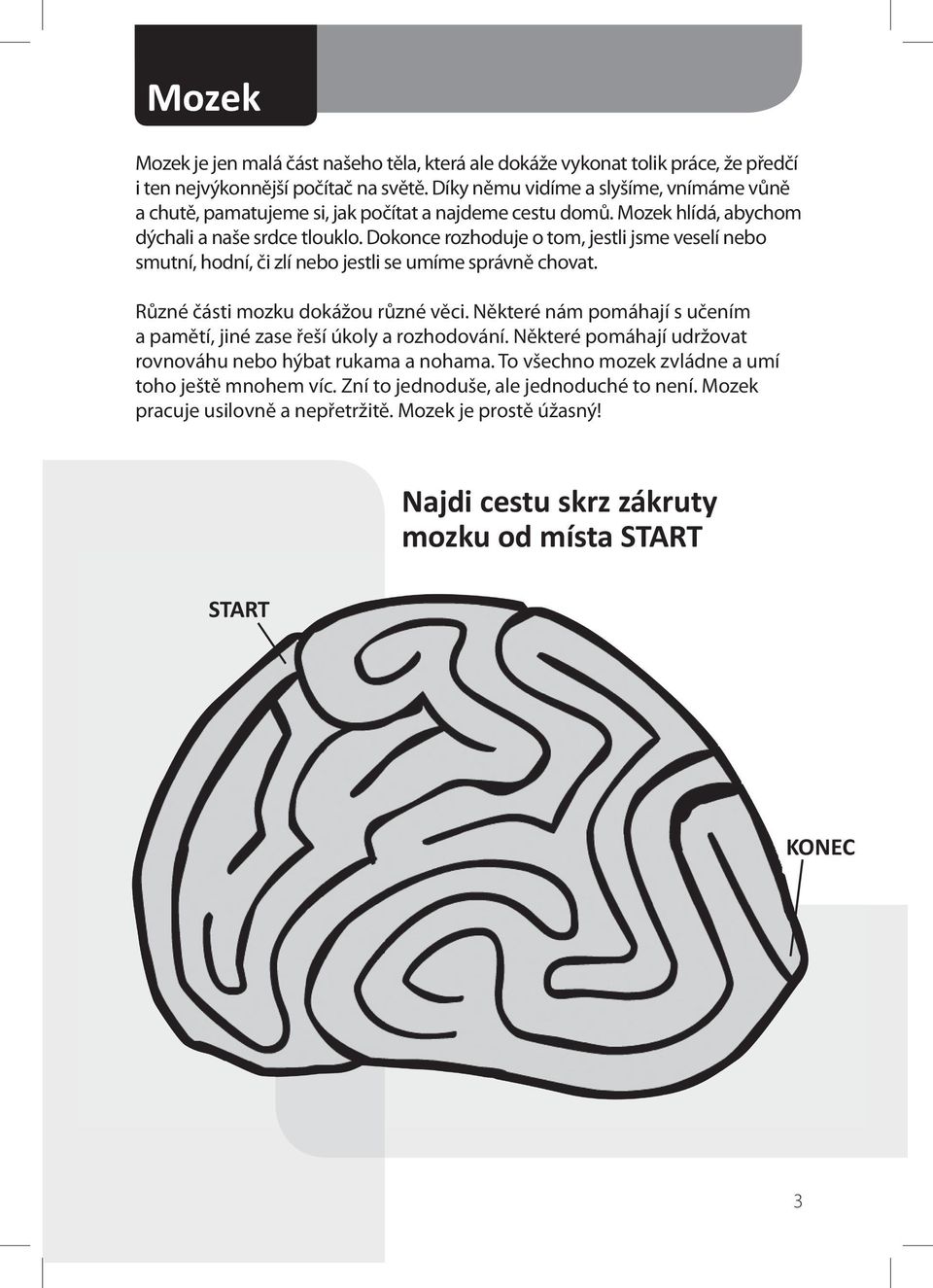 Dokonce rozhoduje o tom, jestli jsme veselí nebo smutní, hodní, či zlí nebo jestli se umíme správně chovat. Různé části mozku dokážou různé věci.