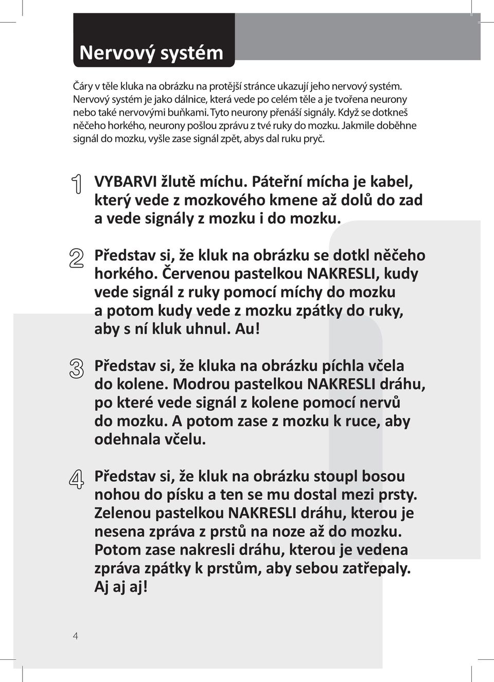 VYBARVI žlutě míchu. Páteřní mícha je kabel, který vede z mozkového kmene až dolů do zad a vede signály z mozku i do mozku. Představ si, že kluk na obrázku se dotkl něčeho horkého.