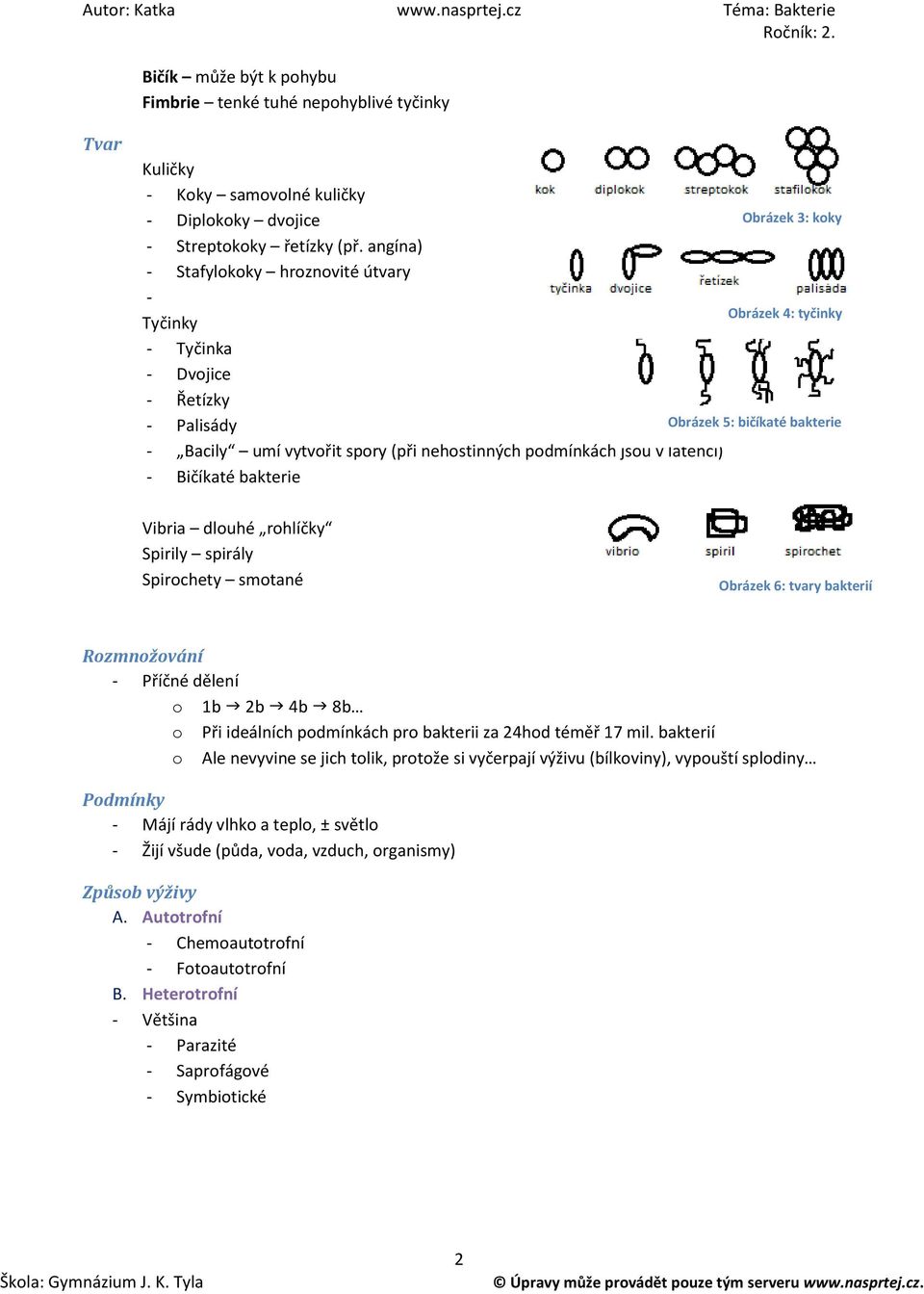 Obrázek 4: tyčinky Obrázek 5: bičíkaté bakterie Vibria dlouhé rohlíčky Spirily spirály Spirochety smotané Obrázek 6: tvary bakterií Rozmnožování - Příčné dělení o 1b 2b 4b 8b o Při ideálních