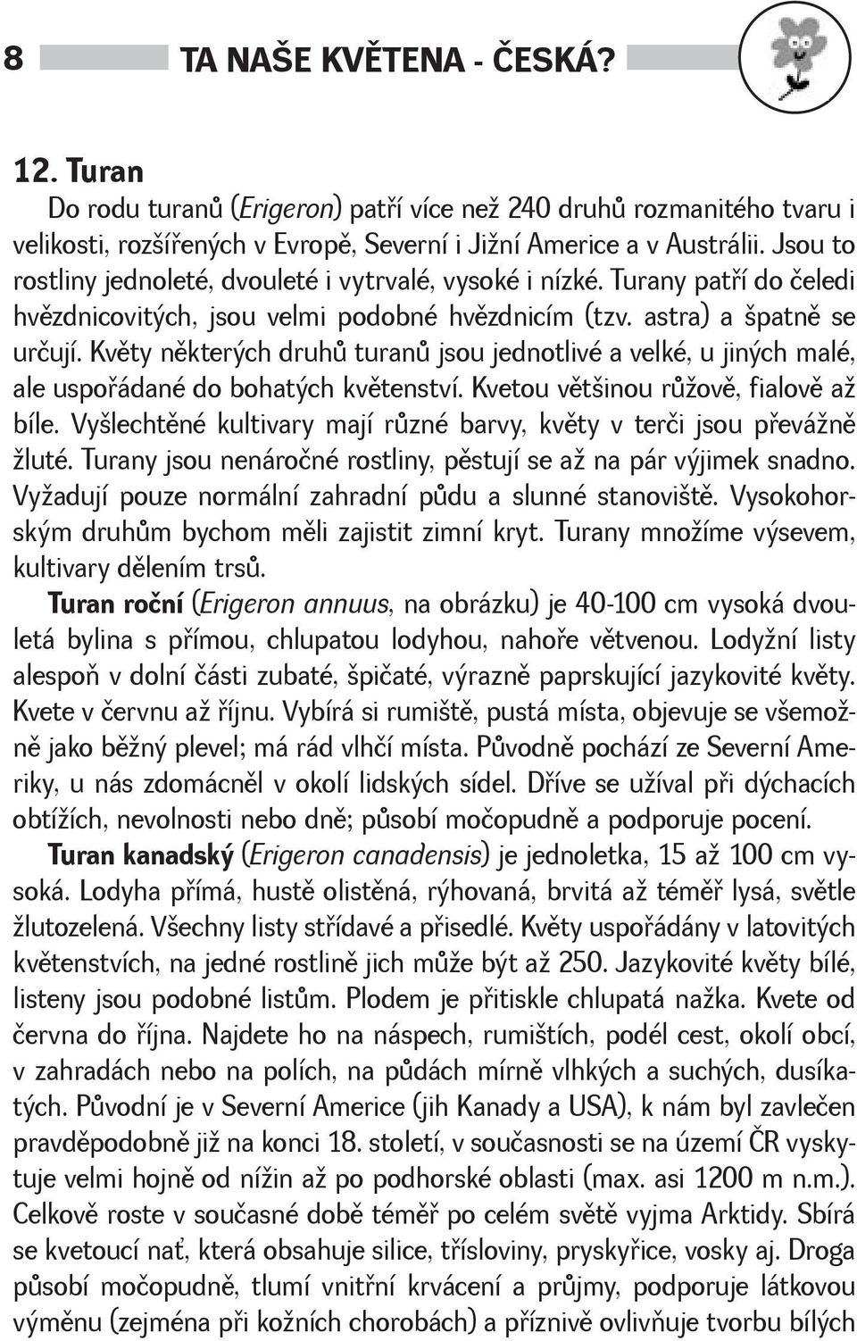 Kvìty nìkterých druhù turanù jsou jednotlivé a velké, u jiných malé, ale uspoøádané do bohatých kvìtenství. Kvetou vìtinou rùovì, fialovì a bíle.