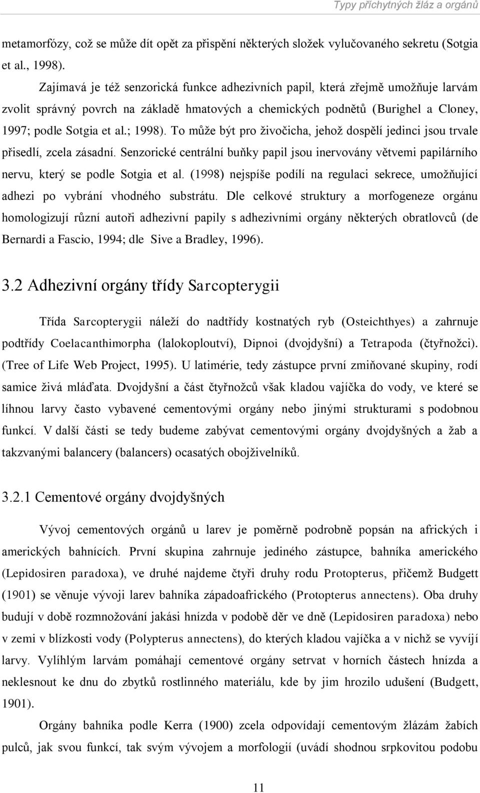 To můţe být pro ţivočicha, jehoţ dospělí jedinci jsou trvale přisedlí, zcela zásadní. Senzorické centrální buňky papil jsou inervovány větvemi papilárního nervu, který se podle Sotgia et al.