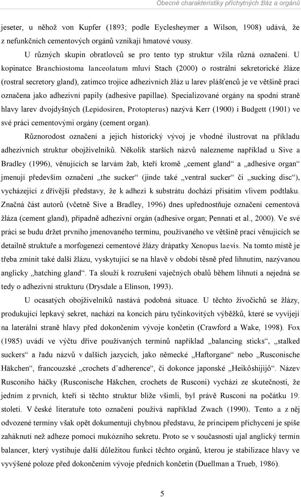 U kopinatce Branchiostoma lanceolatum mluví Stach (2000) o rostrální sekretorické ţláze (rostral secretory gland), zatímco trojice adhezivních ţláz u larev plášťenců je ve většině prací označena jako