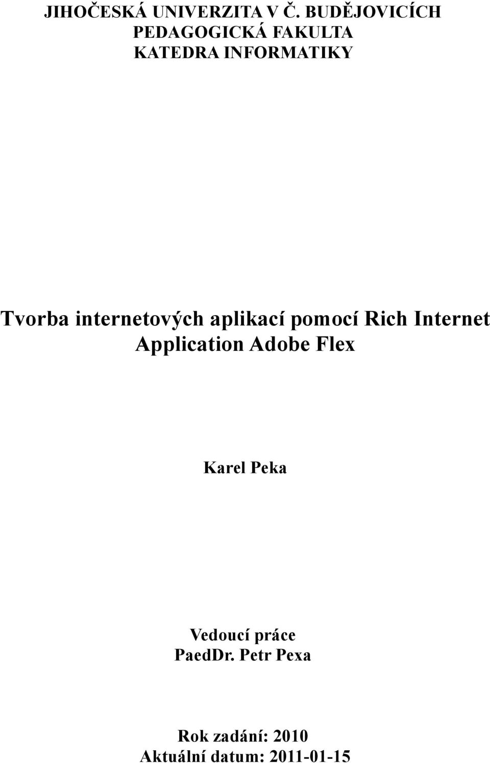 internetových aplikací pomocí Rich Internet Application