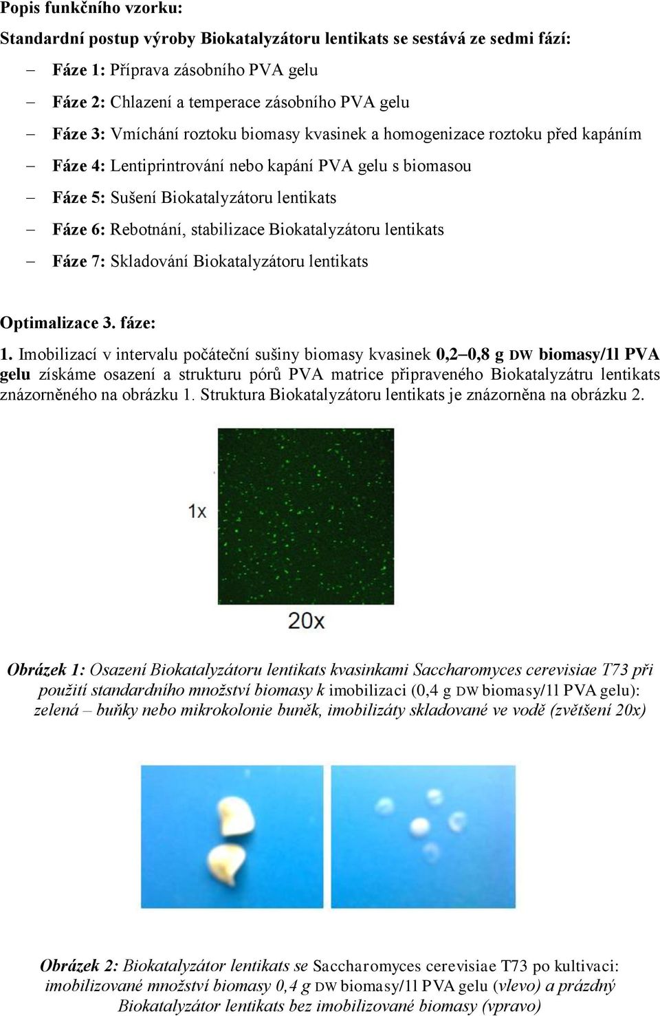 Biokatalyzátoru lentikats Fáze 7: Skladování Biokatalyzátoru lentikats Optimalizace 3. fáze: 1.
