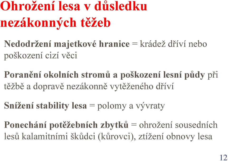 dopravě nezákonně vytěženého dříví Snížení stability lesa = polomy a vývraty Ponechání