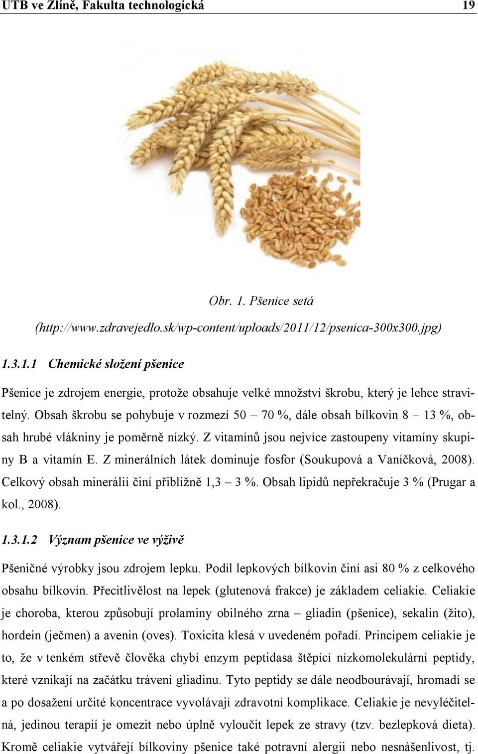 Z minerálních látek dominuje fosfor (Soukupová a Vaníčková, 2008). Celkový obsah minerálií činí přibližně 1,3 3 %. Obsah lipidů nepřekračuje 3 % (Prugar a kol., 2008). 1.3.1.2 Význam pšenice ve výživě Pšeničné výrobky jsou zdrojem lepku.