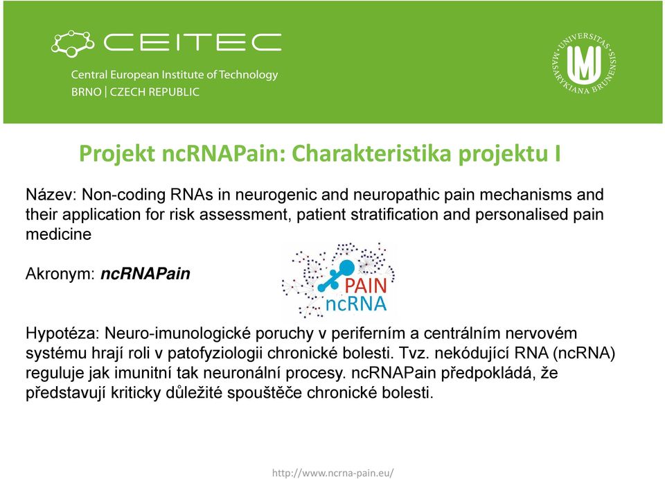 Neuro-imunologické poruchy v periferním a centrálním nervovém systému hrají roli v patofyziologii chronické bolesti. Tvz.