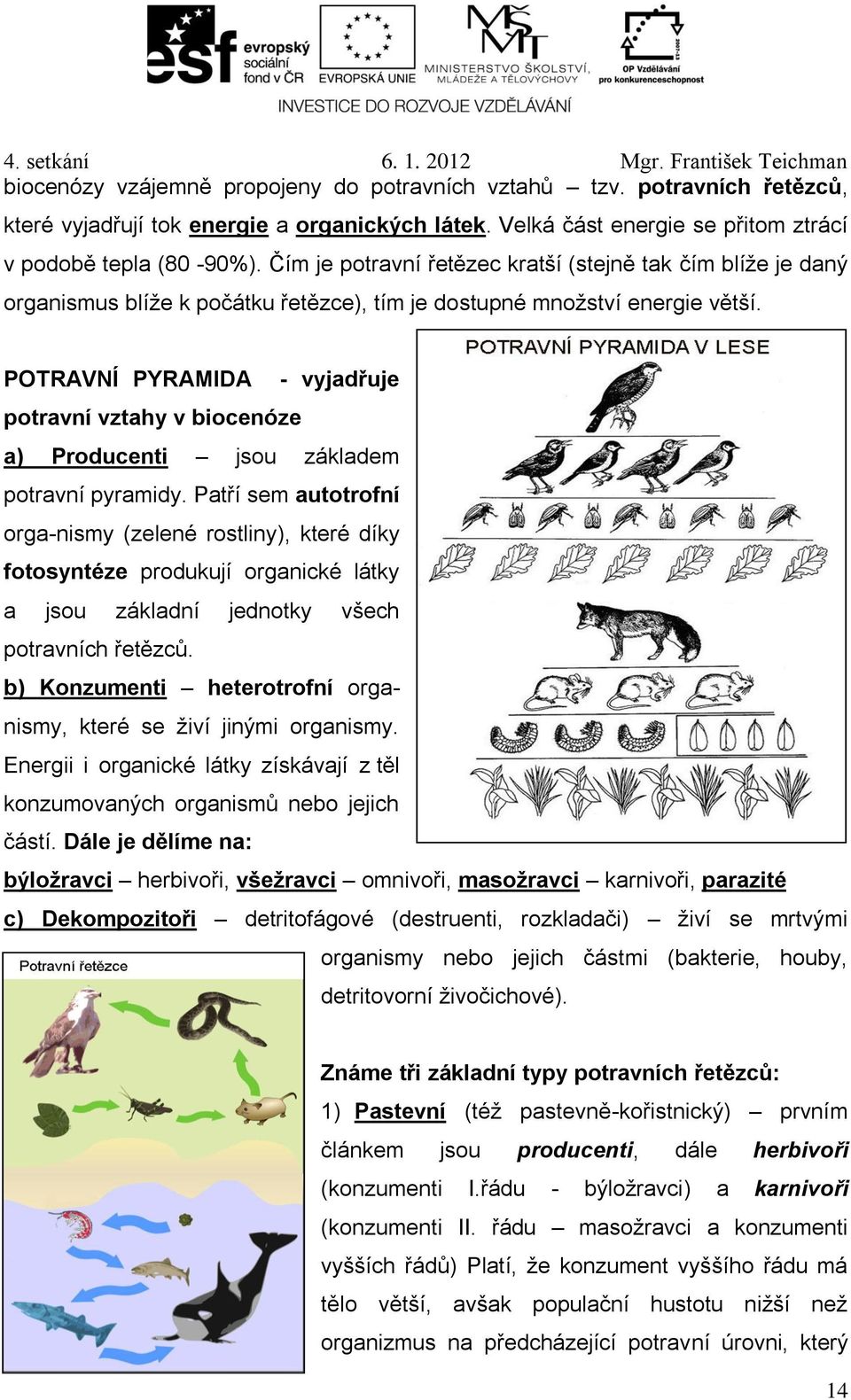 POTRAVNÍ PYRAMIDA - vyjadřuje potravní vztahy v biocenóze a) Producenti jsou základem potravní pyramidy.