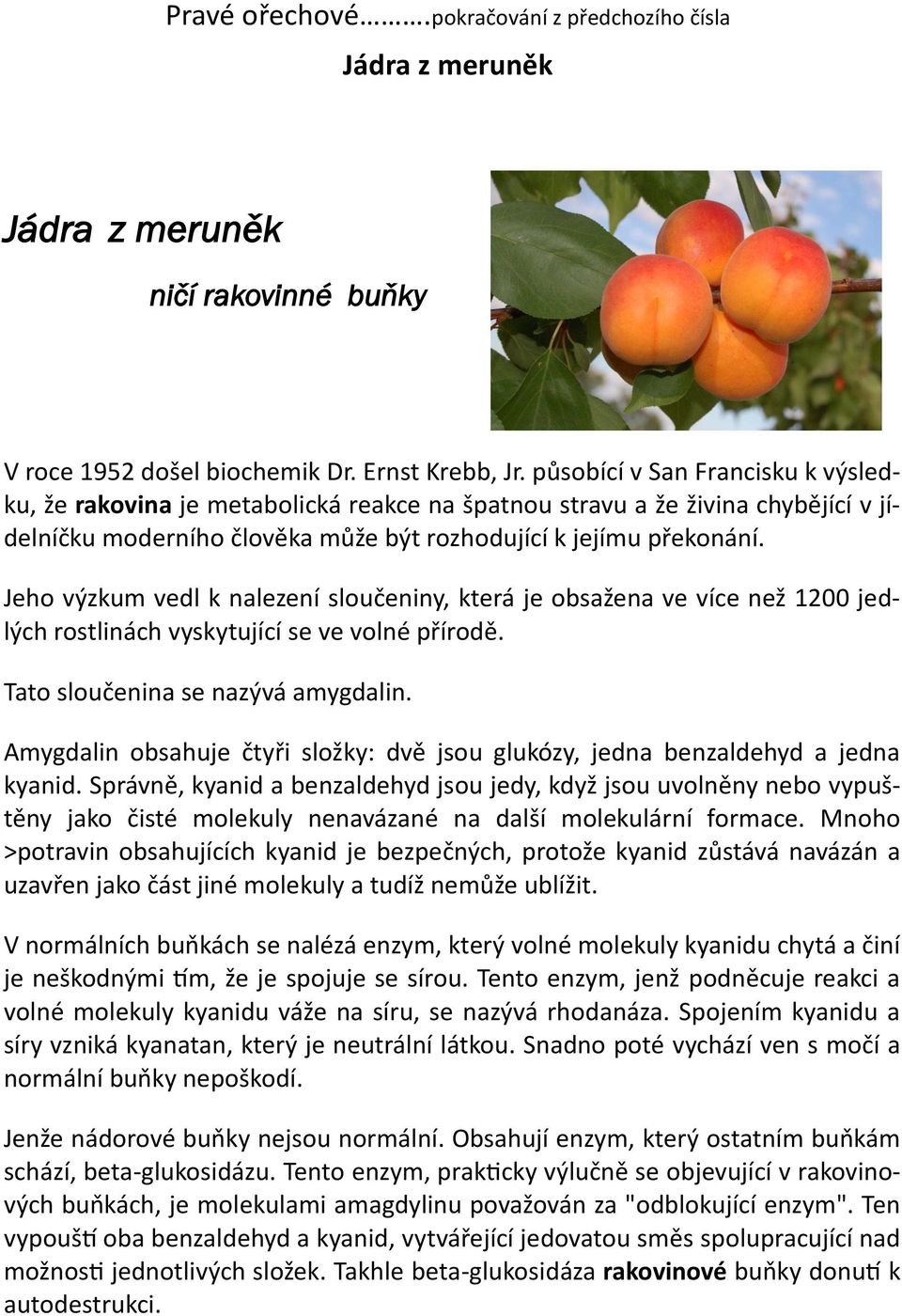 Jeho výzkum vedl k nalezení sloučeniny, která je obsažena ve více než 1200 jedlých rostlinách vyskytující se ve volné přírodě. Tato sloučenina se nazývá amygdalin.