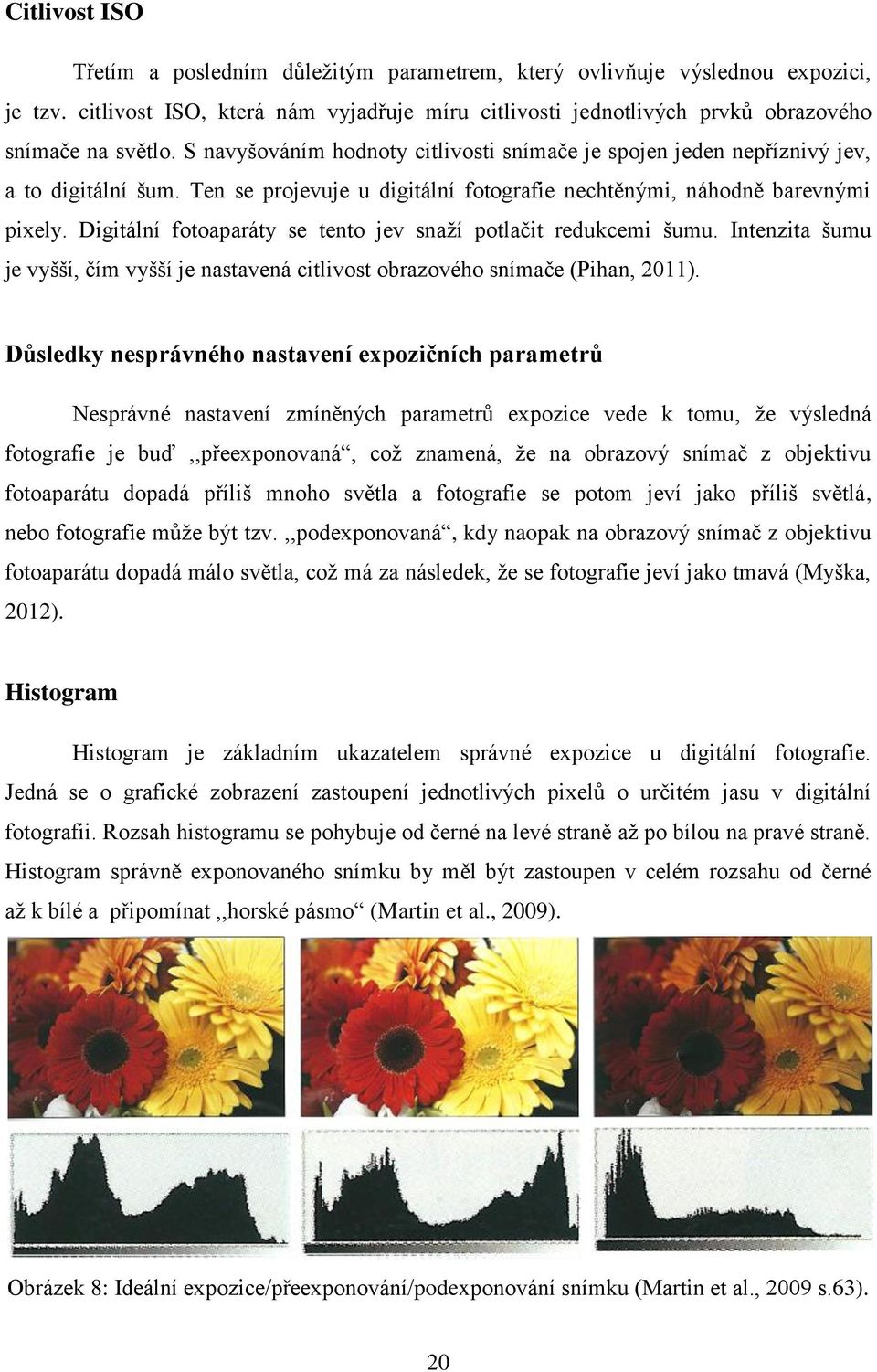 Digitální fotoaparáty se tento jev snaží potlačit redukcemi šumu. Intenzita šumu je vyšší, čím vyšší je nastavená citlivost obrazového snímače (Pihan, 2011).