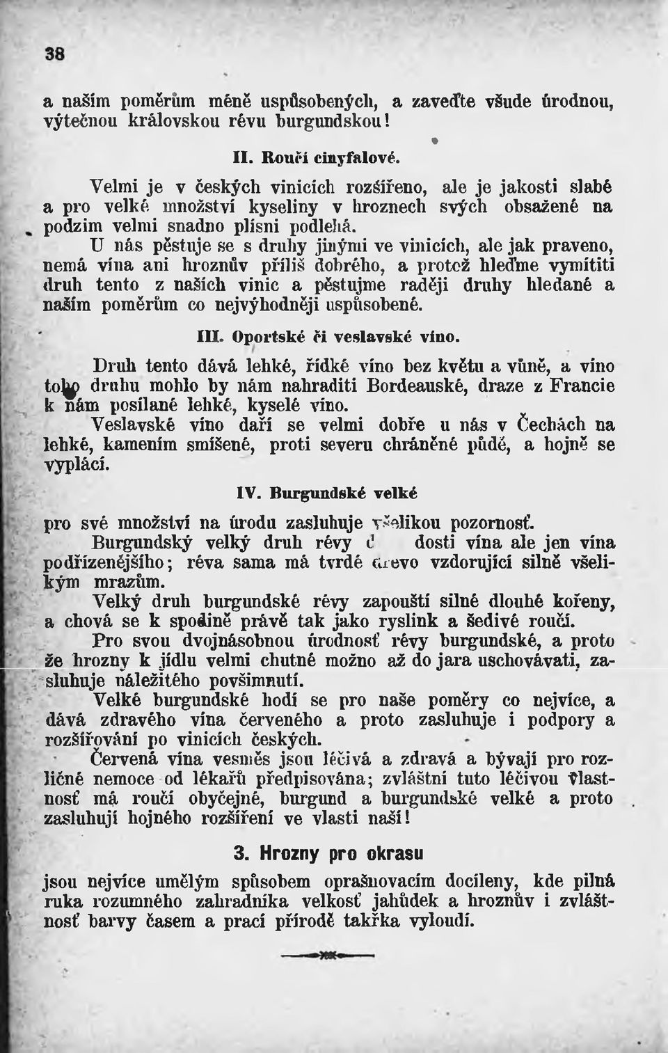 U nás pěstuje se s druhy jinými ve vinicích, ale jak praveno, nemá vína ani hroznův příliš dobrého, a protož hleďme vymítit!