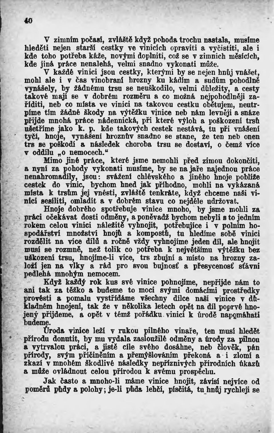 V každé viníci jsou cestky, kteiými by se nejen hnůj vnášet, mohl ale i v čas vinobraní hrozny ku kádím a sudům pohodlně vynášely, by žádnému trsu se neuškodilo, velmi důležitý, a cesty takové mají