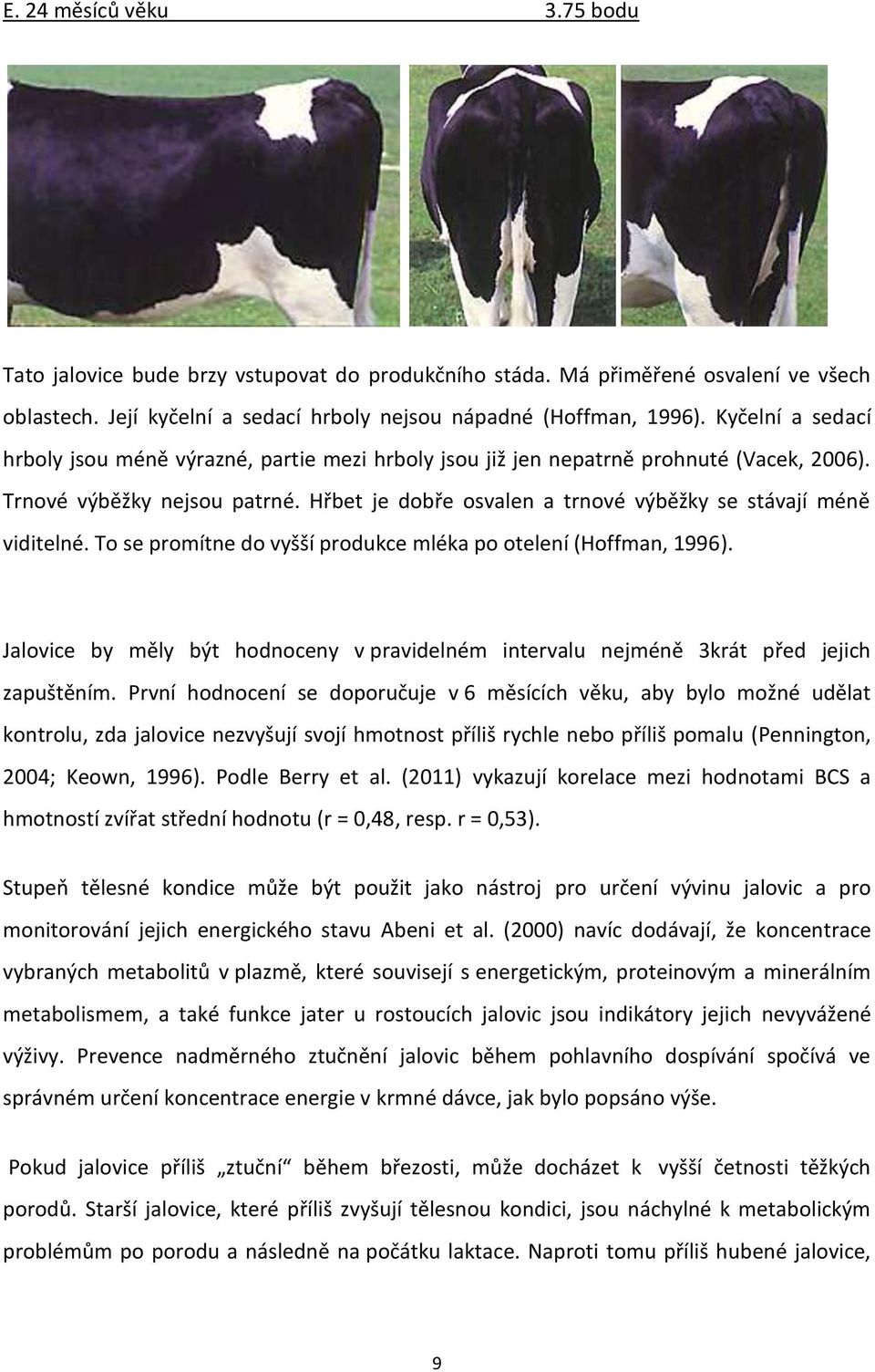 Hřbet je dobře osvalen a trnové výběžky se stávají méně viditelné. To se promítne do vyšší produkce mléka po otelení (Hoffman, 1996).