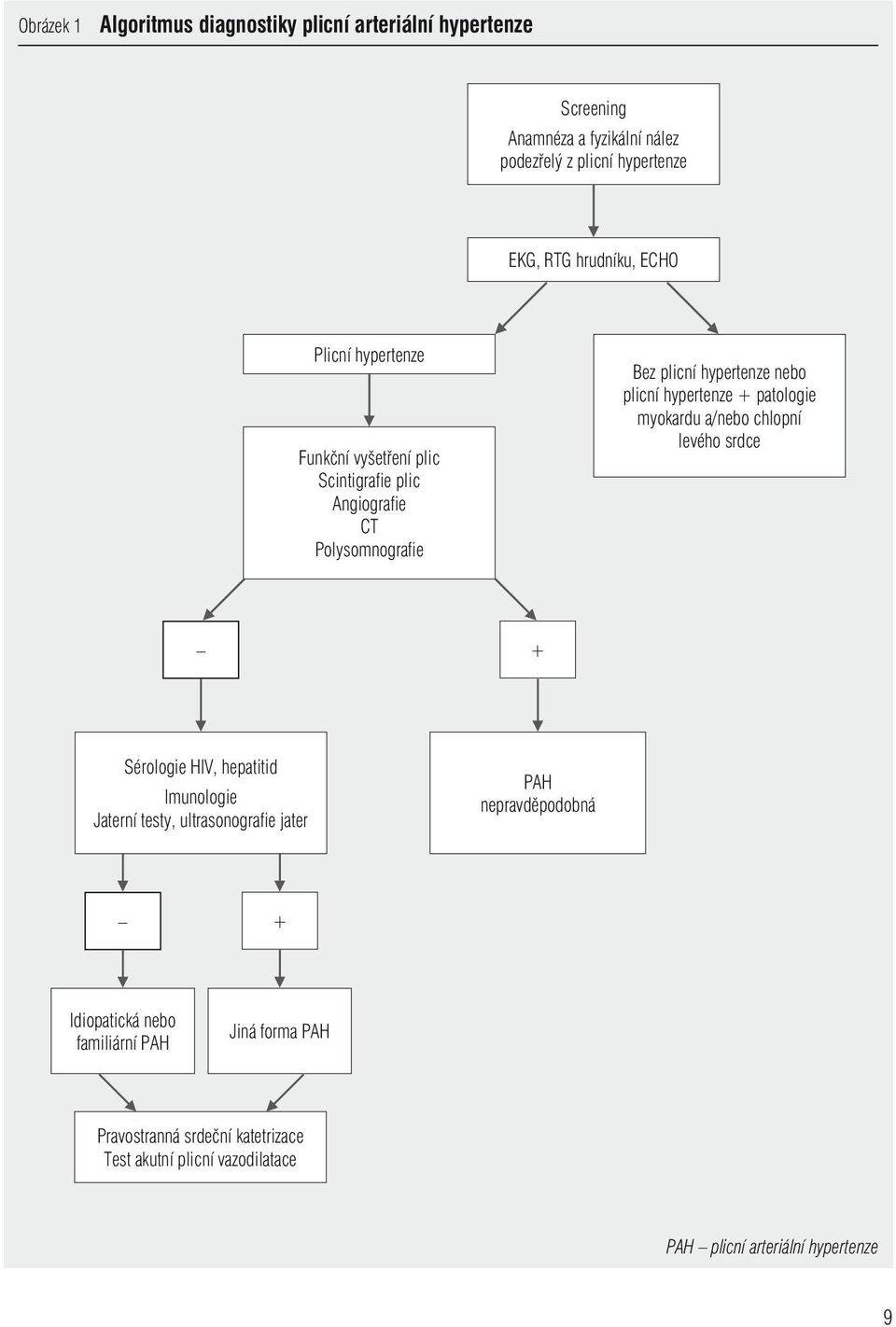 hypertenze + patologie myokardu a/nebo chlopní levého srdce + Sérologie HIV, hepatitid Imunologie Jaterní testy, ultrasonografie jater PAH