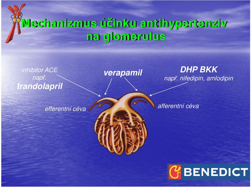 trandolapril verapamil DHP BKK např.