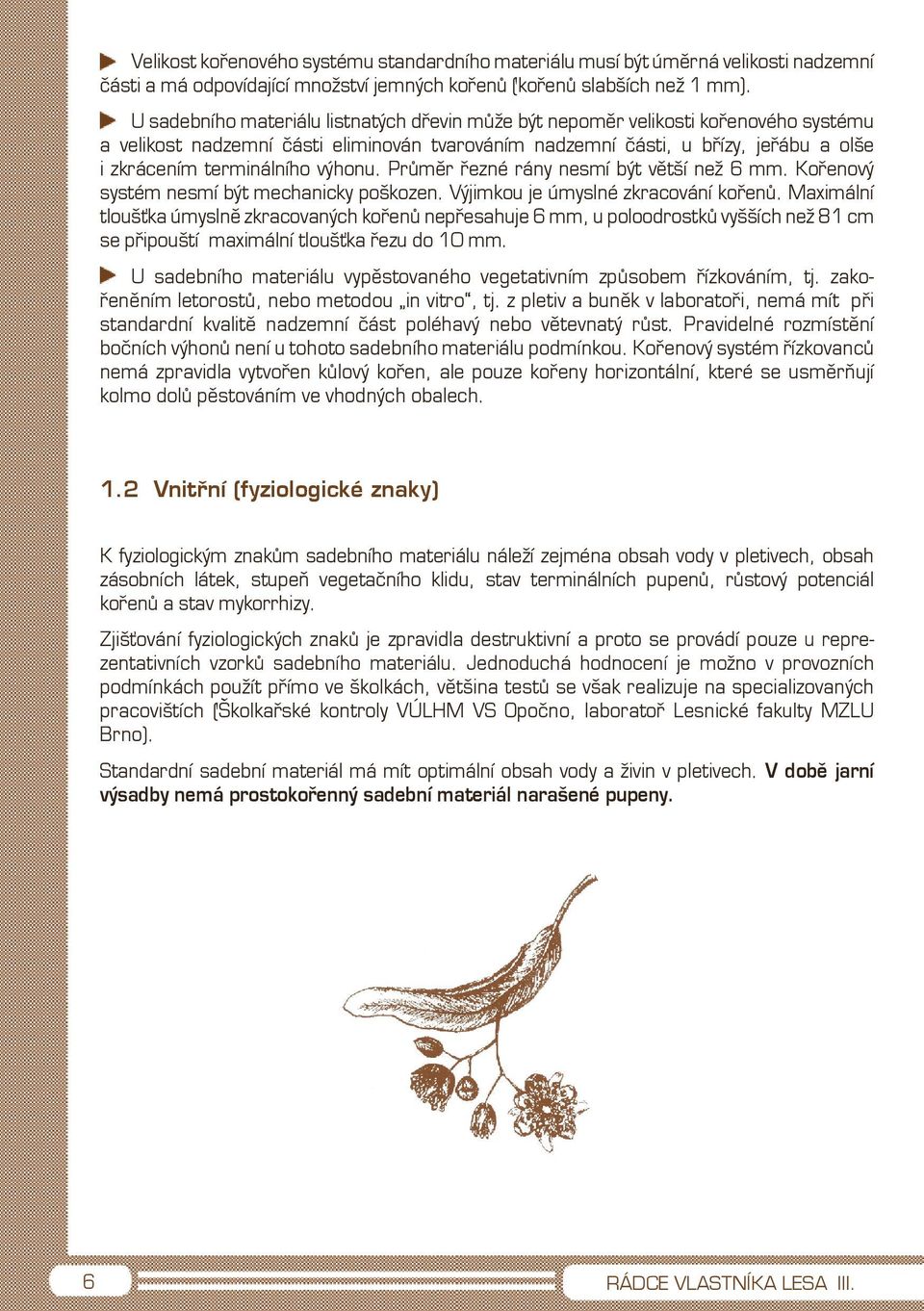 výhonu. Průměr řezné rány nesmí být větší než 6 mm. Kořenový systém nesmí být mechanicky poškozen. Výjimkou je úmyslné zkracování kořenů.