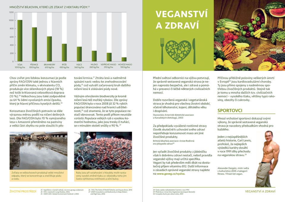 zvířat pro lidskou konzumaci je podle zprávy Fao/oSn také jednou z hlavních příčin změn klimatu, v ekvivalentu co 2 produkuje více skleníkových plynů (18 %) než tolik kritizovaná celosvětová doprava