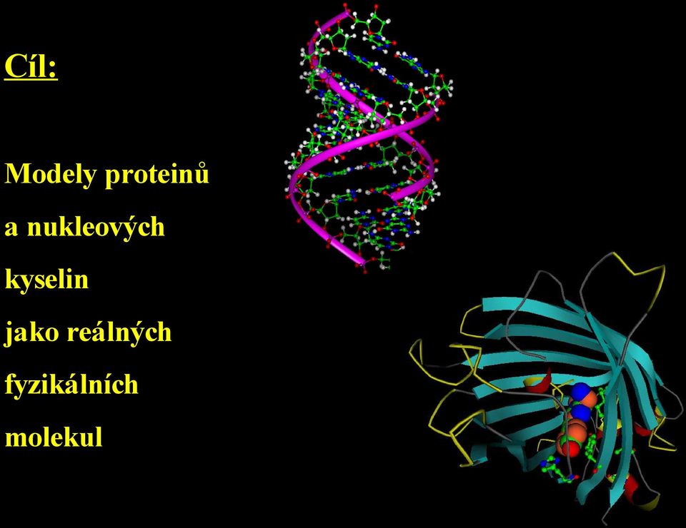 nukleových kyselin