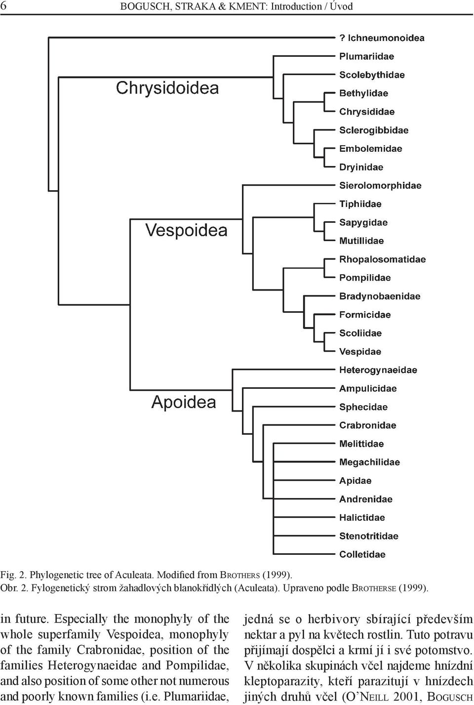 Especially the monophyly of the whole superfamily Vespoidea, monophyly of the family Crabronidae, position of the families Heterogynaeidae and Pompilidae, and also position of some