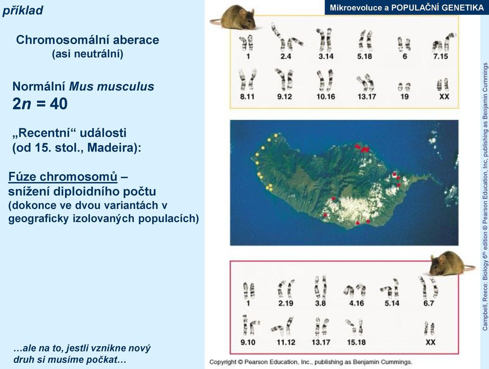 40 Recentní události (od 15. stol.