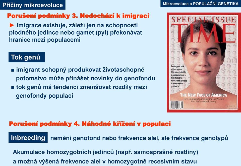 schopný produkovat životaschopné potomstvo může přinášet novinky do genofondu tok genů má tendenci zmenšovat rozdíly mezi genofondy populací Porušení