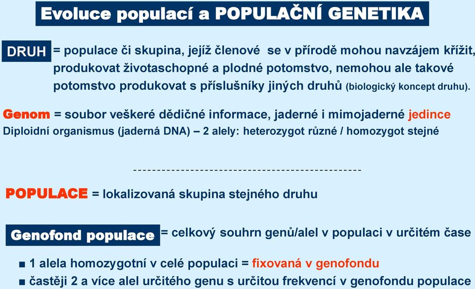 Genom = soubor veškeré dědičné informace, jaderné i mimojaderné jedince Diploidní organismus (jaderná DNA) 2 alely: heterozygot různé / homozygot stejné POPULACE =