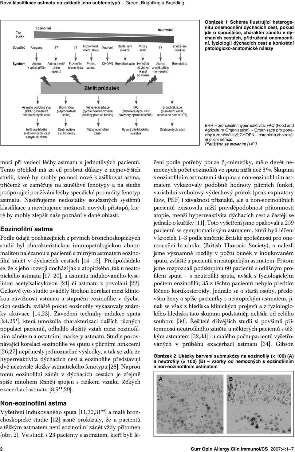 infekce infekt ovzduší Obrázek 1 Schéma ilustrující heterogenitu onemocnění dýchacích cest, pokud jde o spouštěče, charakter zánětu v dýchacích cestách, přidružená onemocnění, fyziologii dýchacích