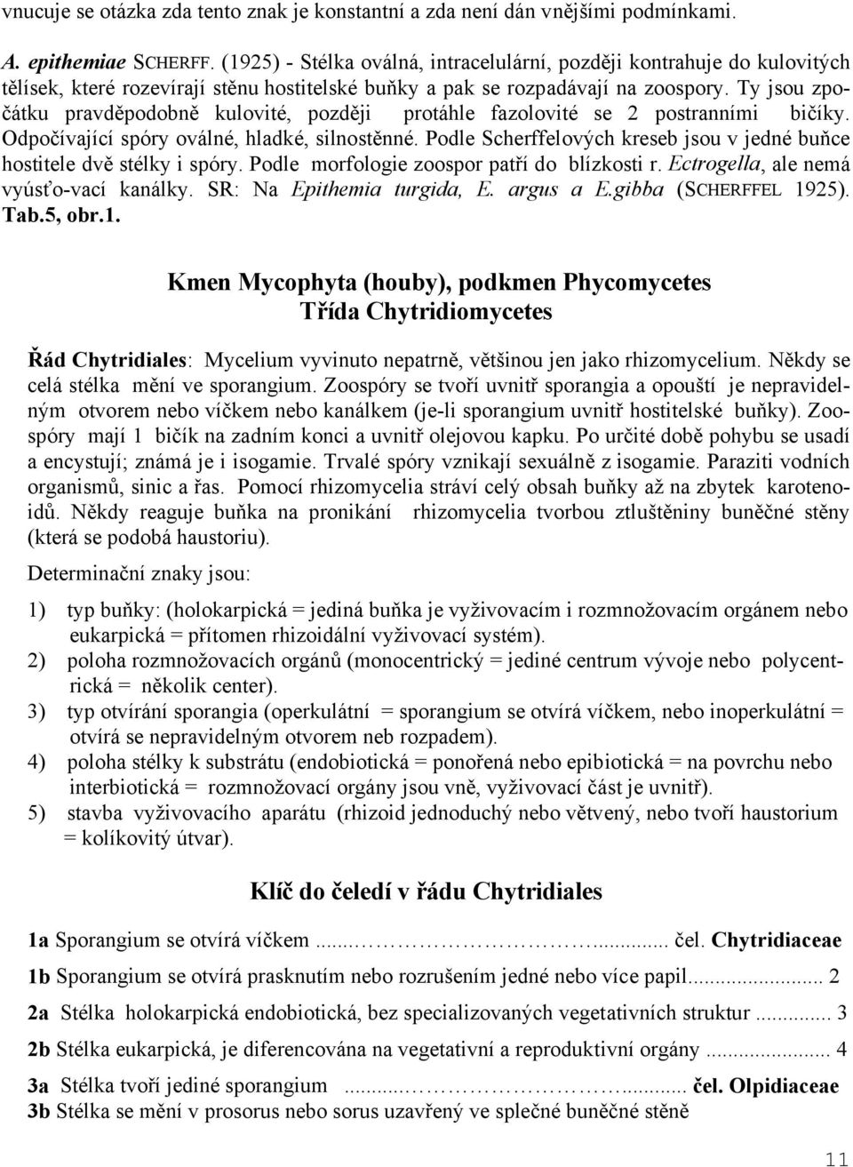 Ty jsou zpočátku pravděpodobně kulovité, později protáhle fazolovité se 2 postranními bičíky. Odpočívající spóry oválné, hladké, silnostěnné.