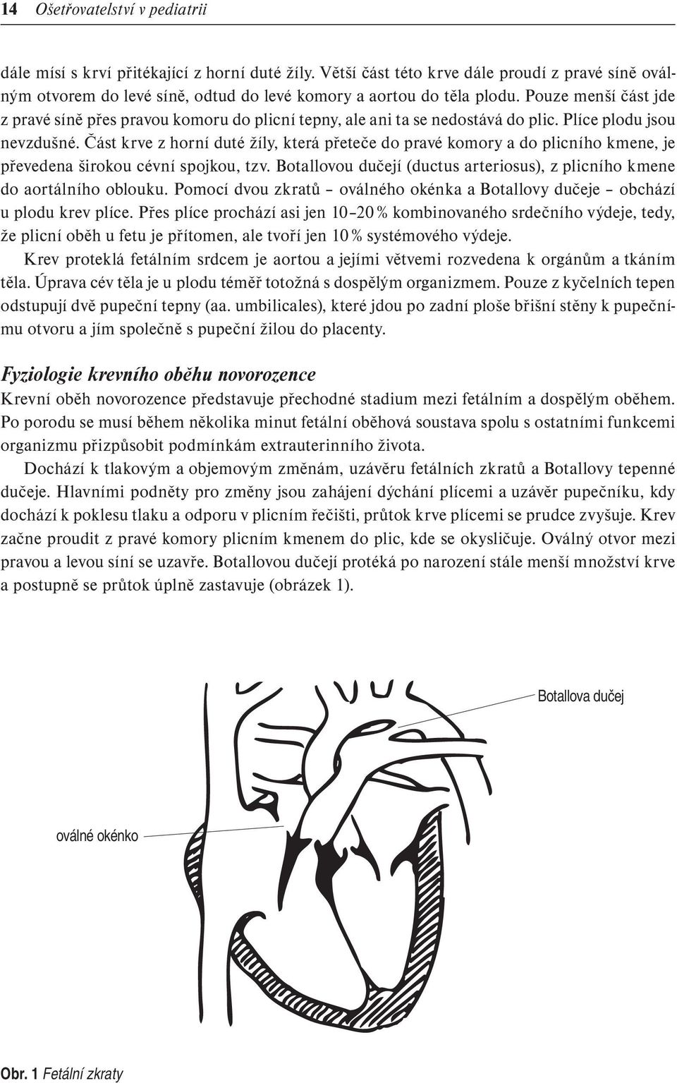 Část krve z horní duté žíly, která přeteče do pravé komory a do plicního kmene, je převedena širokou cévní spojkou, tzv. Botallovou dučejí (ductus arteriosus), z plicního kmene do aortálního oblouku.