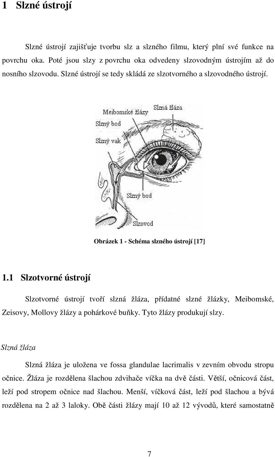 1 Slzotvorné ústrojí Slzotvorné ústrojí tvoří slzná žláza, přídatné slzné žlázky, Meibomské, Zeisovy, Mollovy žlázy a pohárkové buňky. Tyto žlázy produkují slzy.