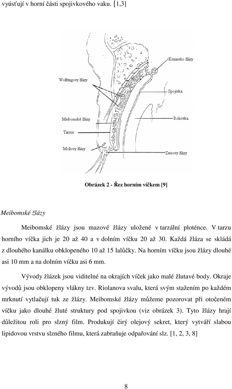 Na horním víčku jsou žlázy dlouhé asi 10 mm a na dolním víčku asi 6 mm. Vývody žlázek jsou viditelné na okrajích víček jako malé žlutavé body. Okraje vývodů jsou obklopeny vlákny tzv.