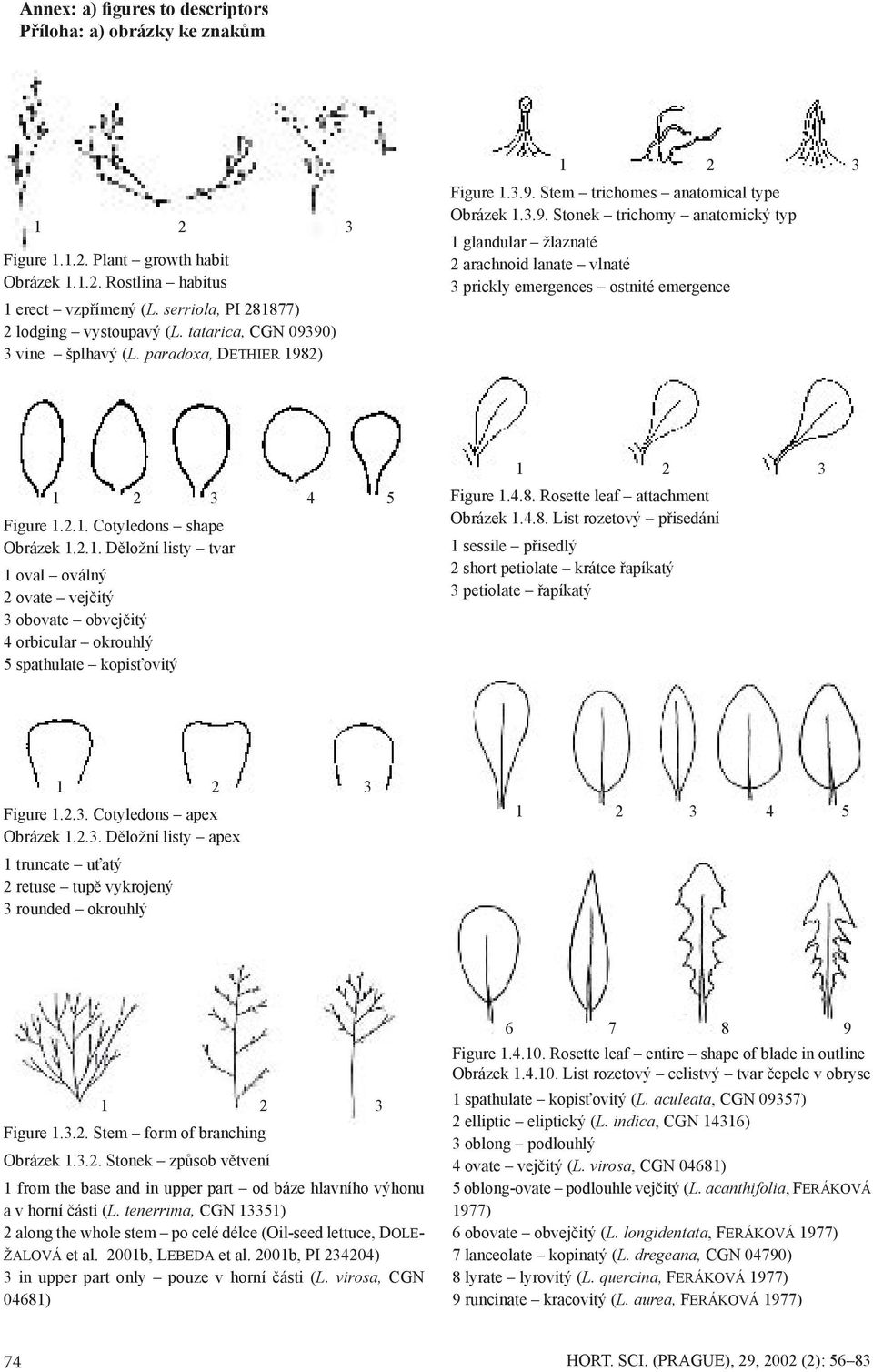 2.1. Cotyledons shape Obrázek 1.2.1. Děložní listy tvar 1 oval oválný 2 ovate vejčitý 3 obovate obvejčitý 4 orbicular okrouhlý 5 spathulate kopisťovitý 1 2 3 Figure 1.4.8.