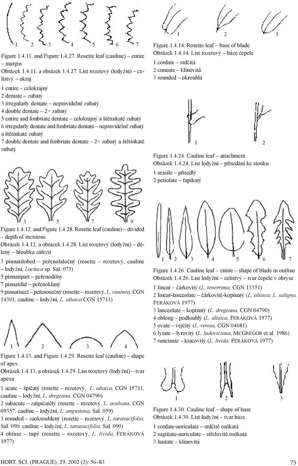 List rozetový (lodyžní) celistvý okraj 1 entire celokrajný 2 dentate zubatý 3 irregularly dentate nepravidelně zubatý 4 double dentate 2 zubatý 5 entire and fimbriate dentate celokrajný a štětinkatě