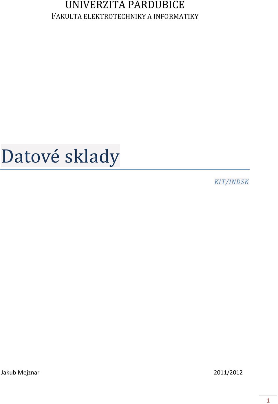 INFORMATIKY Datové sklady