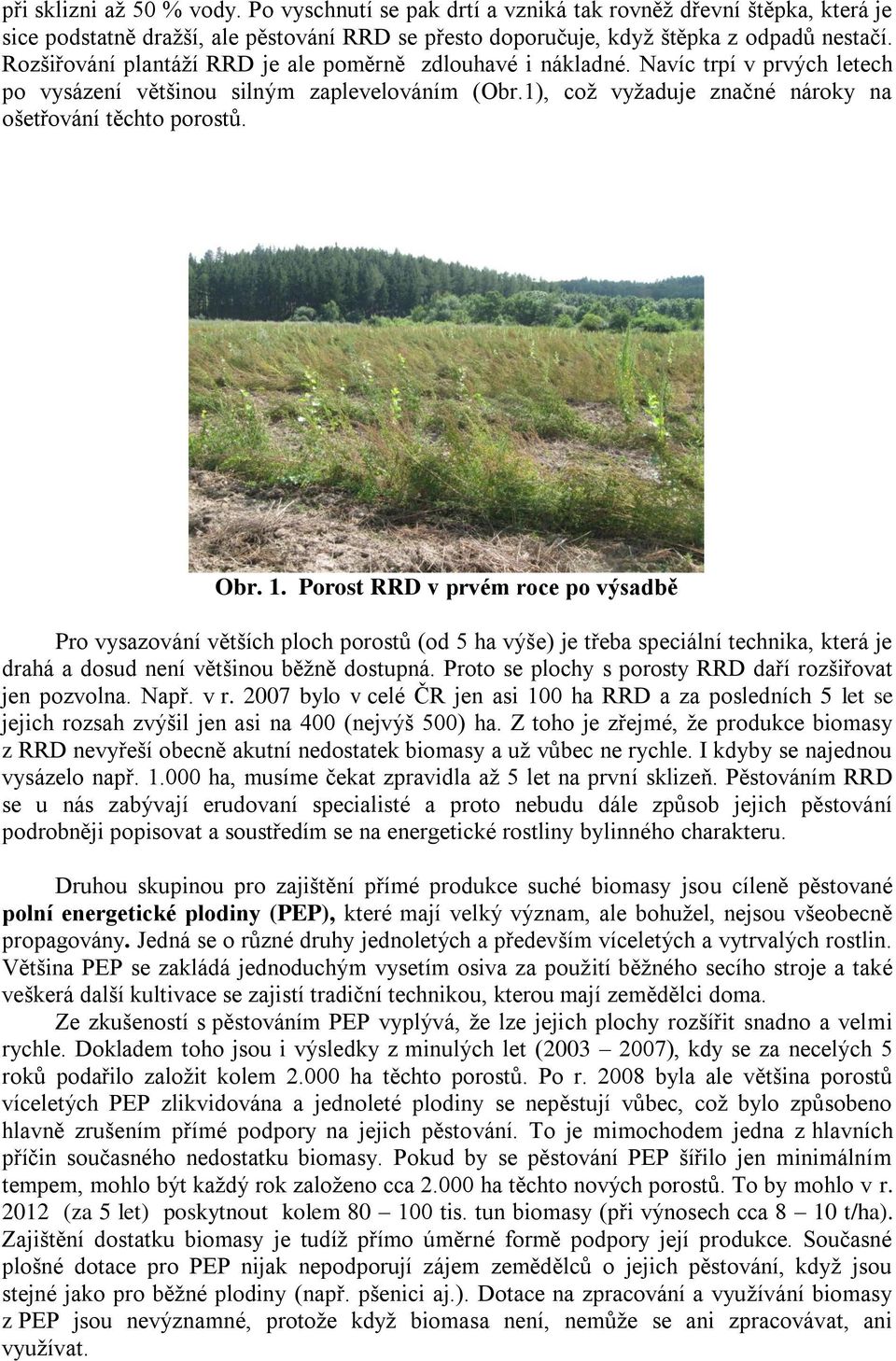 Obr. 1. Porost RRD v prvém roce po výsadbě Pro vysazování větších ploch porostů (od 5 ha výše) je třeba speciální technika, která je drahá a dosud není většinou běžně dostupná.