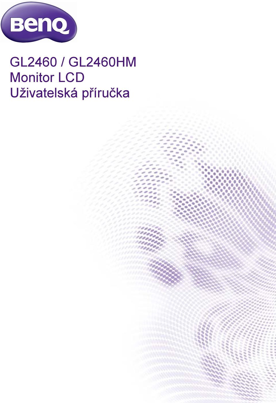 Monitor LCD
