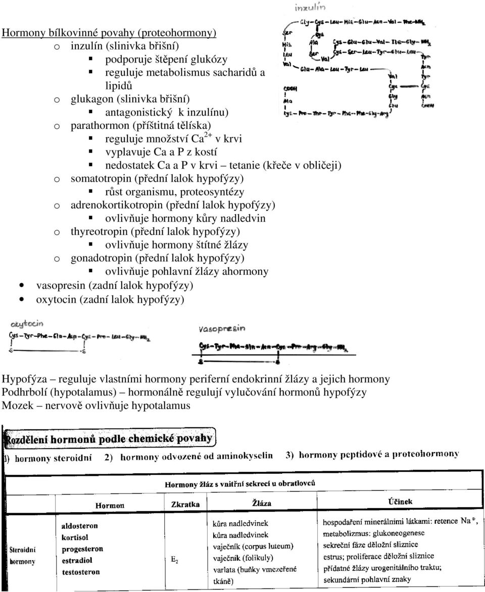 proteosyntézy o adrenokortikotropin (přední lalok hypofýzy) ovlivňuje hormony kůry nadledvin o thyreotropin (přední lalok hypofýzy) ovlivňuje hormony štítné žlázy o gonadotropin (přední lalok