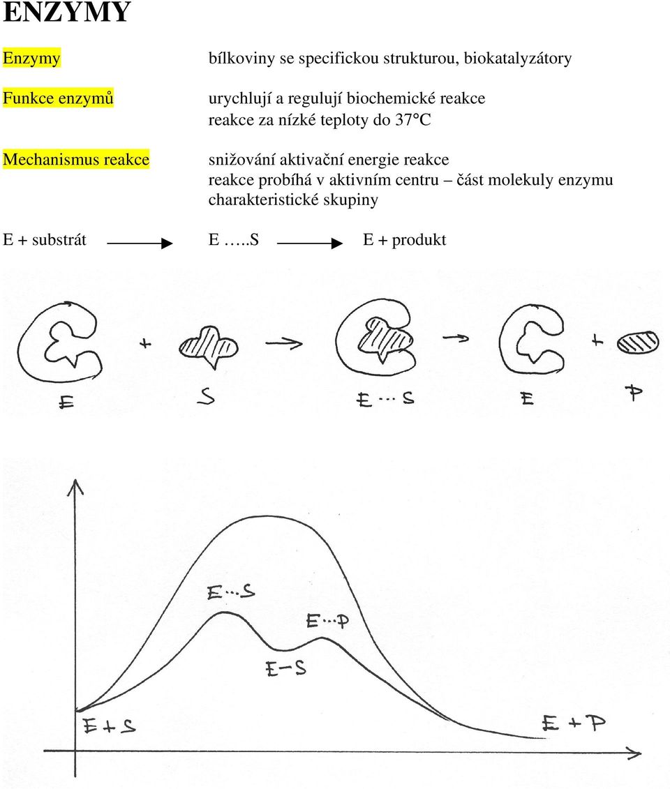 nízké teploty do 37 C snižování aktivační energie reakce reakce probíhá v