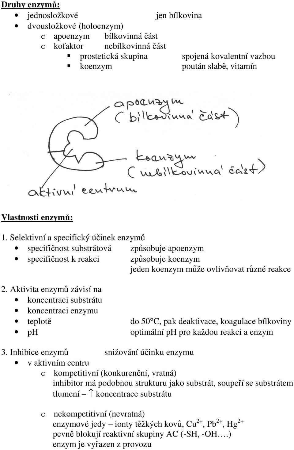 Aktivita enzymů závisí na koncentraci substrátu koncentraci enzymu teplotě do 50 C, pak deaktivace, koagulace bílkoviny ph optimální ph pro každou reakci a enzym 3.