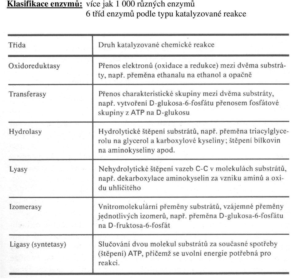 enzymů 6 tříd enzymů
