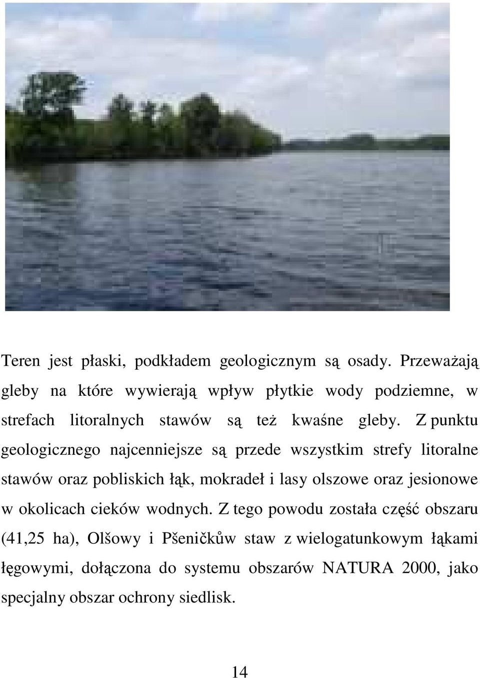 Z punktu geologicznego najcenniejsze są przede wszystkim strefy litoralne stawów oraz pobliskich łąk, mokradeł i lasy olszowe oraz