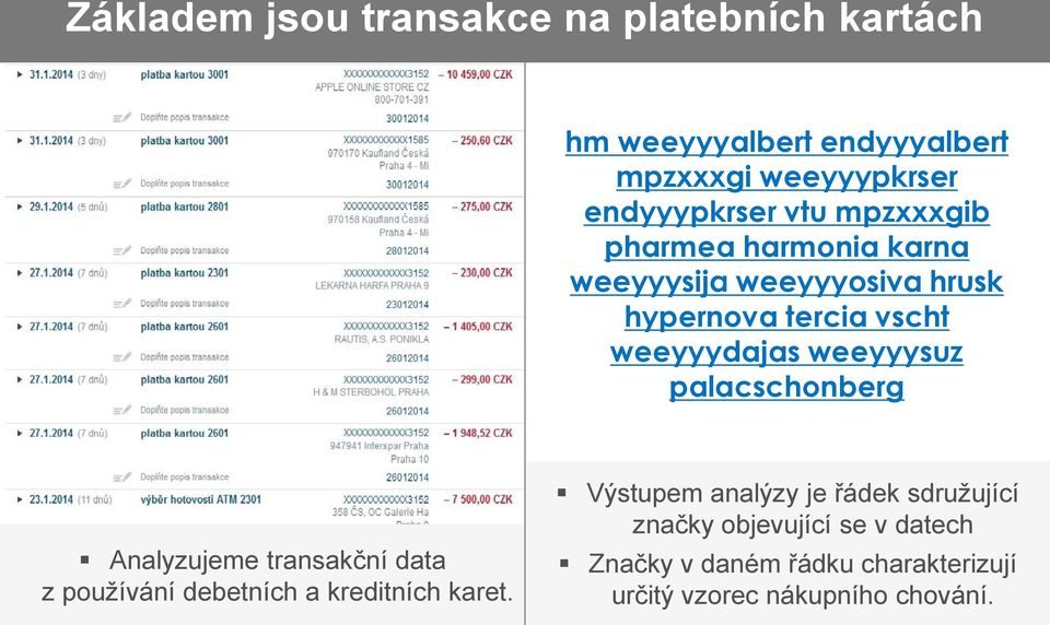 palacschonberg Analyzujeme transakční data z používání debetních a kreditních karet.