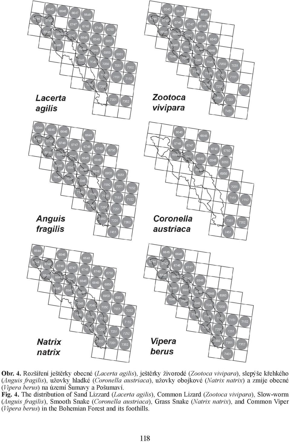 hladké (Coronella austriaca), užovky obojkové (Natrix natrix) a zmije obecné (Vipera berus) na území Šumavy a Pošumaví. Fig. 4.