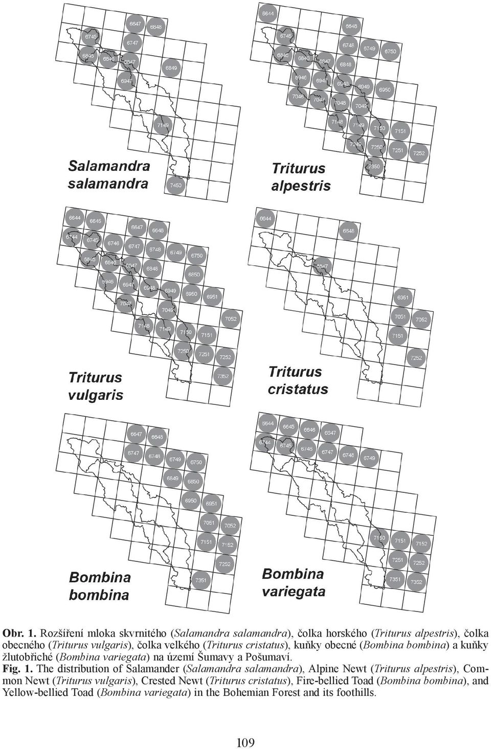 (Triturus cristatus), kuňky obecné (Bombina bombina) a kuňky žlutobřiché (Bombina variegata) na území Šumavy a Pošumaví. Fig. 1.