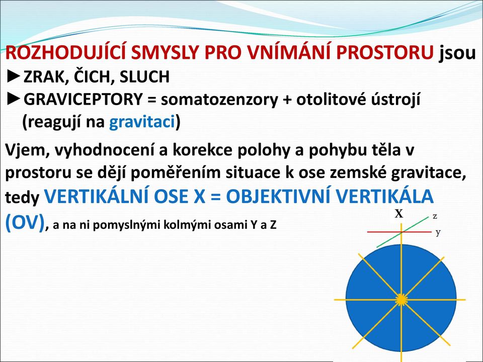 korekce polohy a pohybu těla v prostoru se dějí poměřením situace k ose zemské