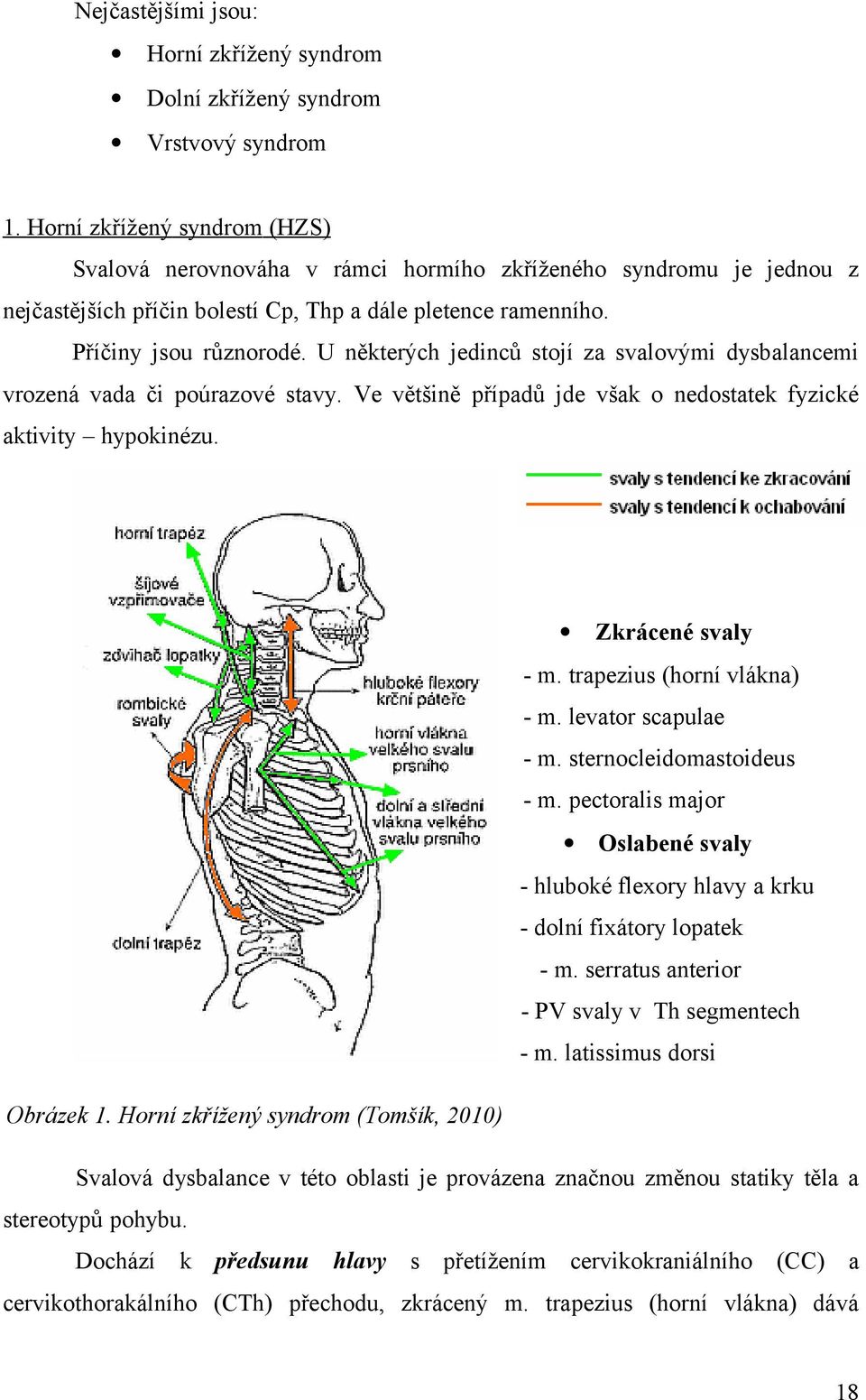 U některých jedinců stojí za svalovými dysbalancemi vrozená vada či poúrazové stavy. Ve většině případů jde však o nedostatek fyzické aktivity hypokinézu. Zkrácené svaly - m.